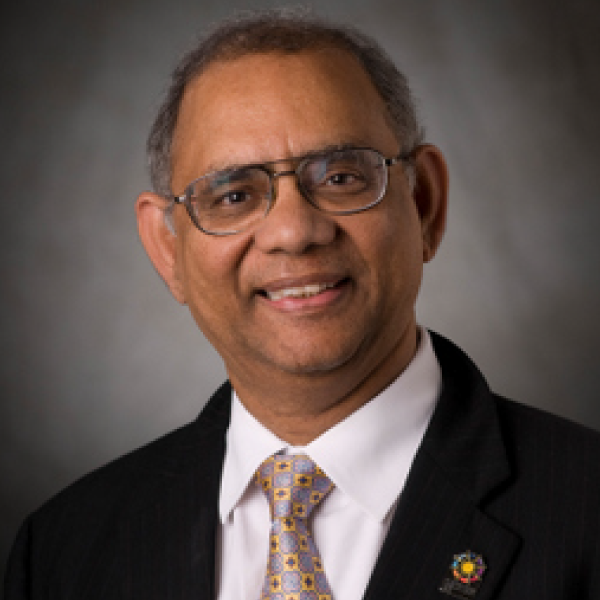 Headshot of Akhlesh Lakhtakia